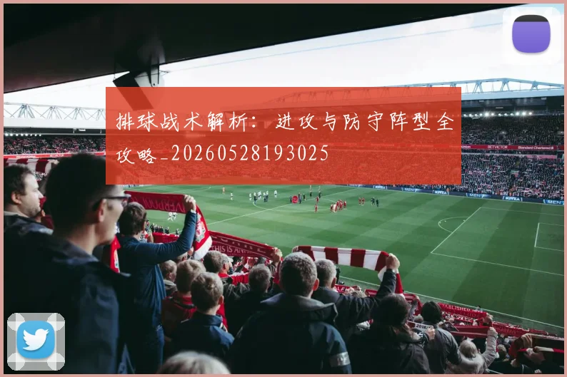 排球战术解析：进攻与防守阵型全攻略_20260528193025
